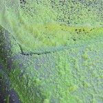 Wax Up Foam Cilalı Oto Yıkama Şampuanı %60 Fırçasız 20 kg YEŞİL